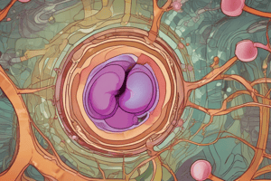 Osmoregulation and Kidney Function