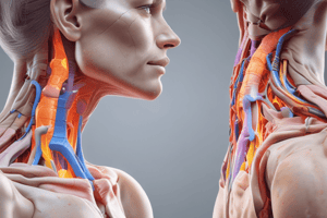 Cervical Sprain and Strain Symptoms and Diagnosis