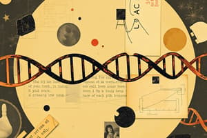 DNA Replication Overview and Key Enzymes