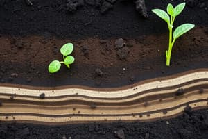 Soil Profiles and Horizons