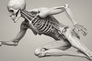 Human Anatomy: Synovial Joints Movement