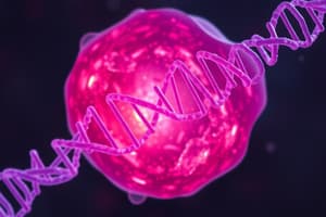 Cell Structure: DNA, RNA, Nucleus, and Cytoplasm