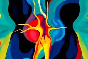 Cranial Nerves VI and VIII Overview