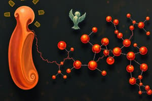 Biochemistry: Glycolysis & Hexokinase