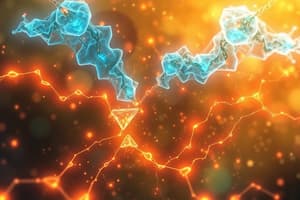 Cholinergic Agents: Synthesis, Storage and Release