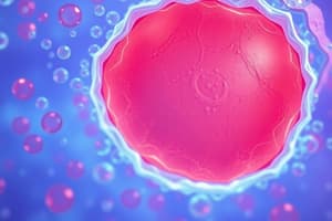 Surface Epithelium Overview