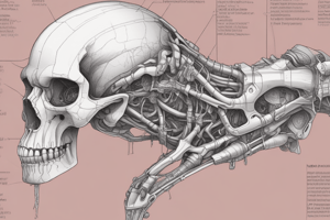 Difficult10_Introduction to Anatomy & Physiology Quiz