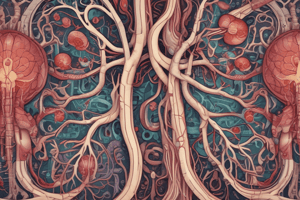 The Nephron Structure and Function