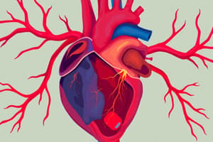 Système Cardiovasculaire - Concepts Clés