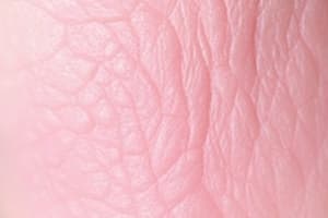 Frictional and Focal Hyperkeratosis Quiz