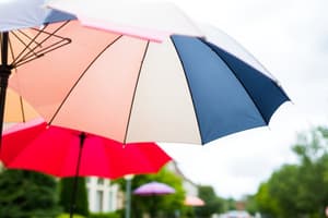 Personal Umbrella Policy Overview