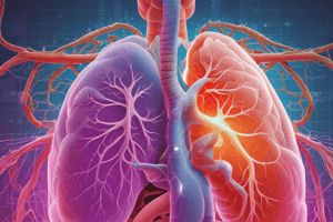 L5 Lung Volumes and Capacities in Medical Physiology