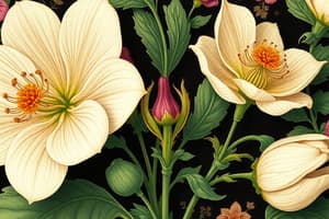 Botany: Understanding Flowers