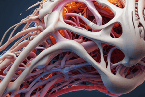 Biomechanics & Surgery: Tissue Mechanics II Bone