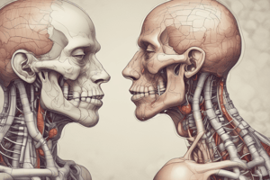 Anatomy of Pharynx