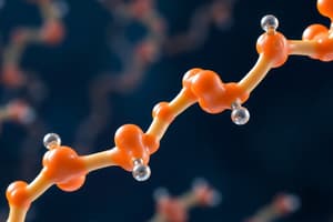 Oligosaccharides and Polysaccharides Quiz