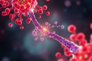 MHC Class II Molecules & Antigen Processing