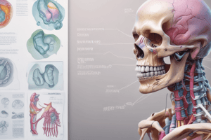 Imaging in Gut Septic Arthritis Trauma