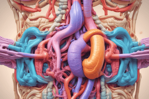 Digestive System Chapter 23: Overview and GI Tract Layers