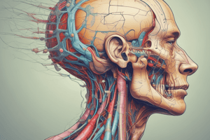 Cranial Nerves Functions