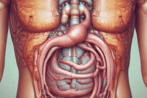 Functional Constipation Causes and Diagnosis