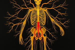 Autonomic Nervous System Overview