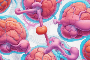 Uronephrology Labs: Renal Function Tests Differentiation