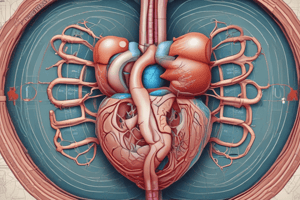 Urinary System Microanatomy- Pt 2