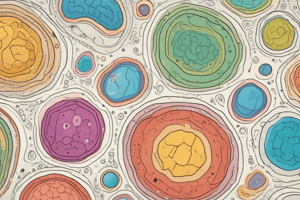 Cell Components and Functions