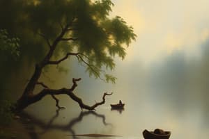 Ecology: Food Webs, Chains & Trophic Levels