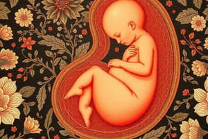 Desenvolvimento Fetal e Identidade