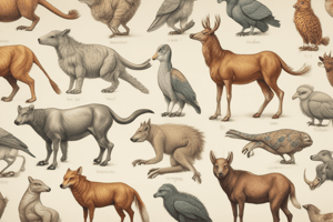 Animal Classification Quiz