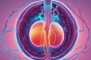 Radionuclide Evaluation of the Genitourinary System