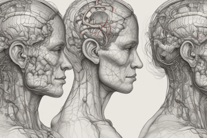 Cerebral Edema and Central Nervous System