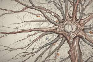 Neurophysiology Pt 2 Quiz