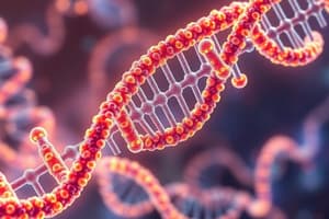 DNA and RNA structures