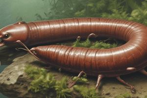 Biology: Annelida and Leeches