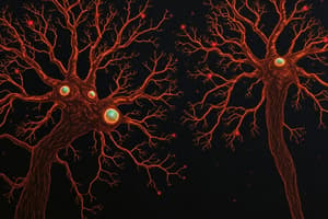 Lecture 1 - Mirror Neurons Overview