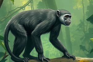 Primate Morphology and Taxonomy Quiz