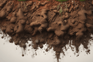 Soil vs Dirt