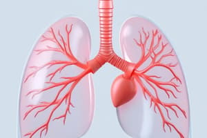 Positive & Negative Pressure Ventilation