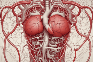 Gr 9 NATURAL SCIENCES: CH 1.4 Circulation and respiration