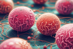 Biology: Gastrulation and Germ Layers