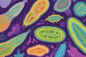 Protists: Characteristics and Types