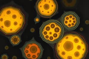 Introduction to Eukaryotic Cells