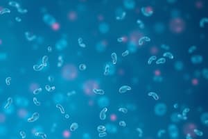 Cell Lines and Cell Cultures Overview