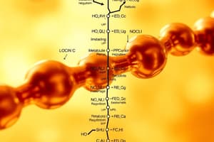 Metabolism Quiz