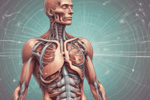 Respiratory System Functions and Organs