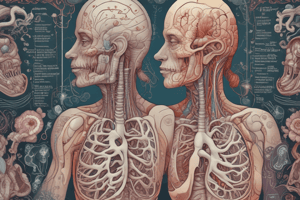 Respiratory System Anatomy and Physiology