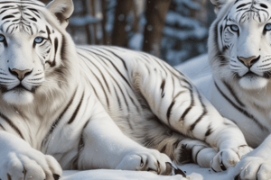 Snow Tigers Lesson Summary